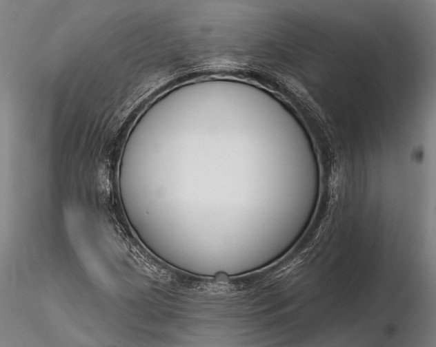 X0000116301209200912141327