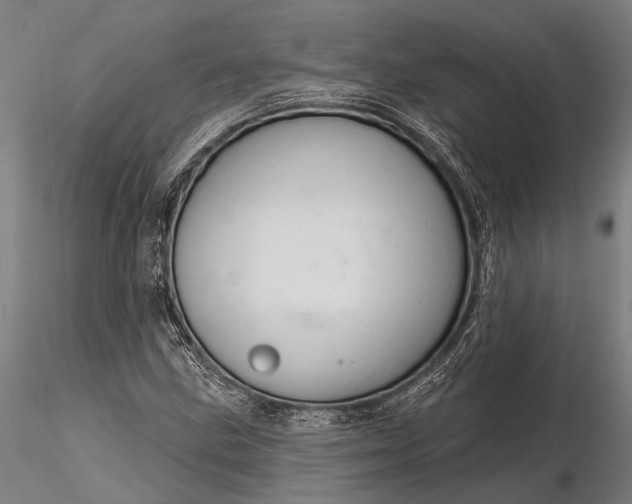 X0000116301211200912141327