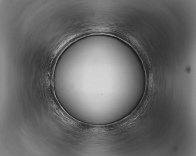 X0000116301212200912141327