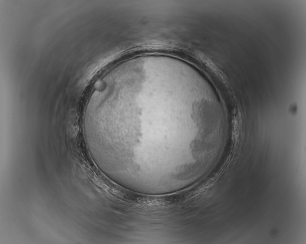 X0000116301213200912141327