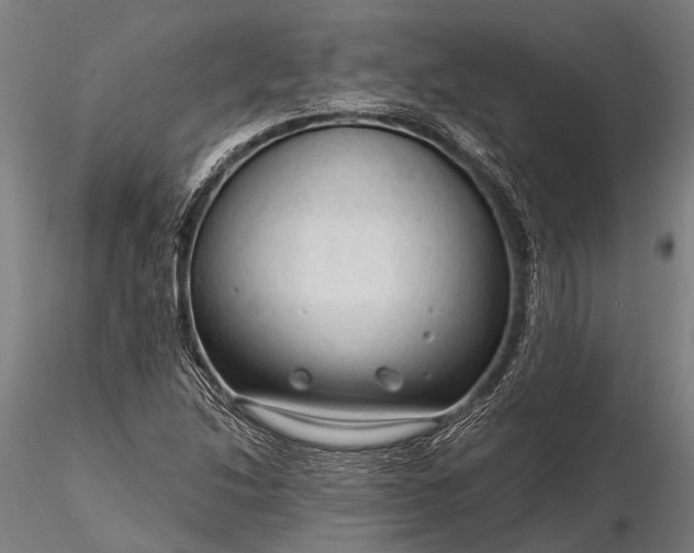 X0000116301214200912141327