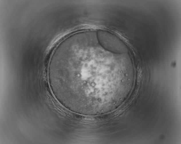 X0000116301215200912141327