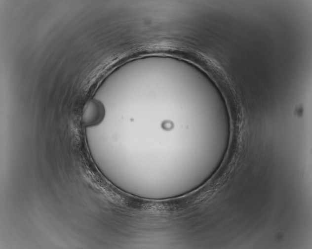 X0000116301217200912141327