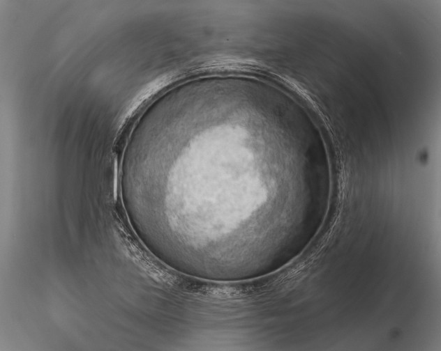 X0000116301219200912141327