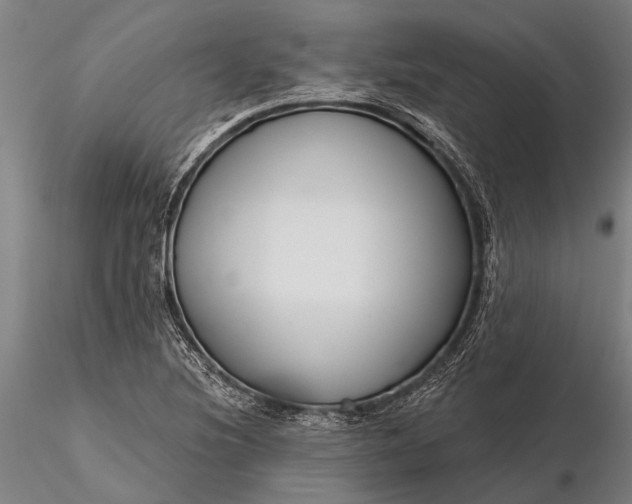 X0000116301220200912141327