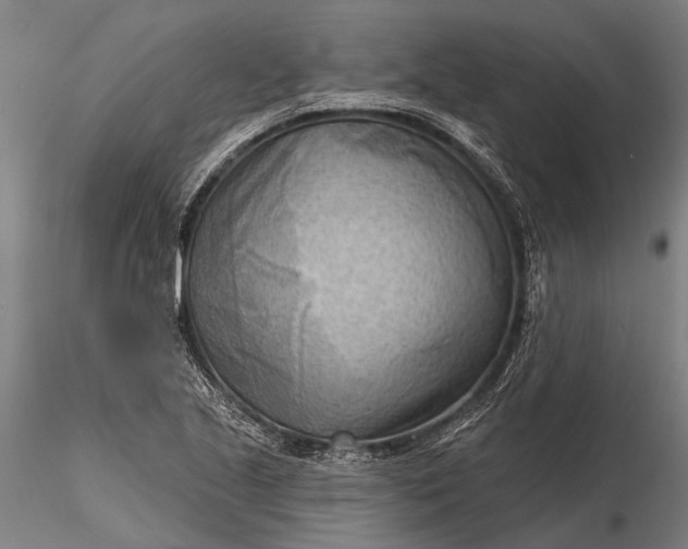 X0000116301221200912141327