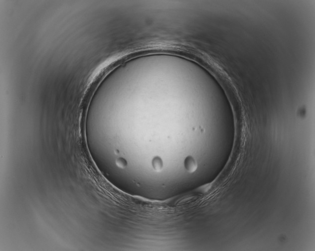 X0000116301222200912141327