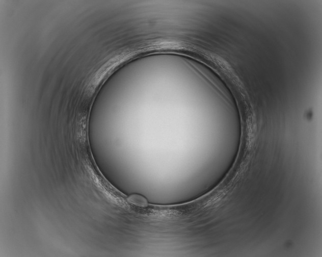 X0000116301225200912141327