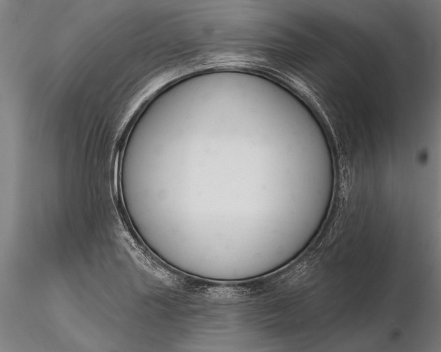 X0000116301227200912141327