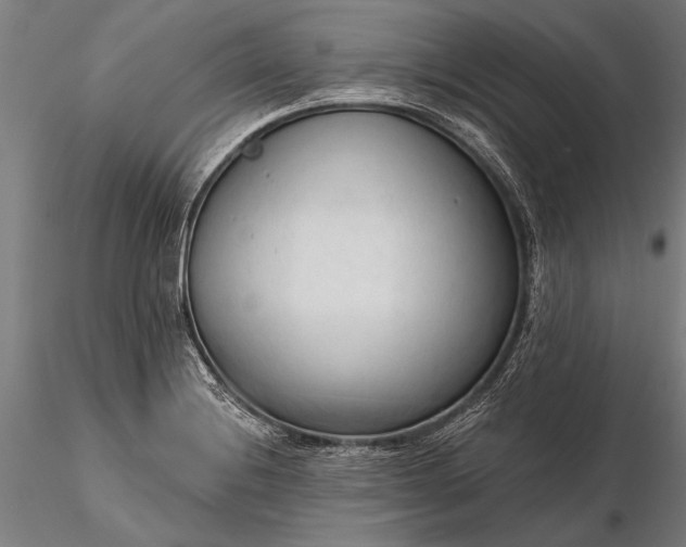 X0000116301228200912141327