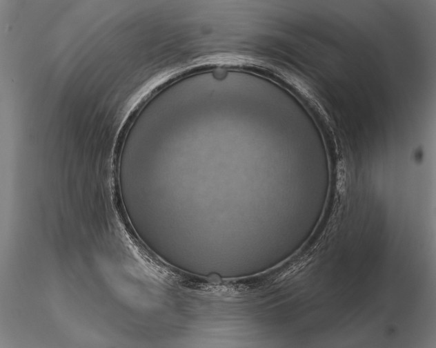 X0000116301229200912141327