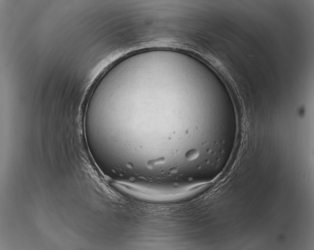 X0000116301230200912141327