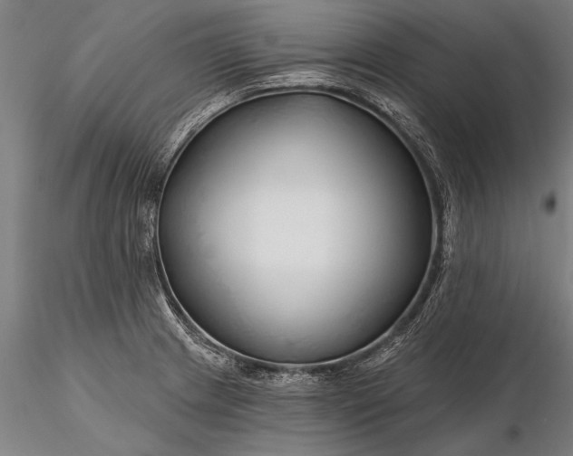 X0000116301233200912141327