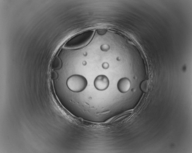 X0000116301235200912141327