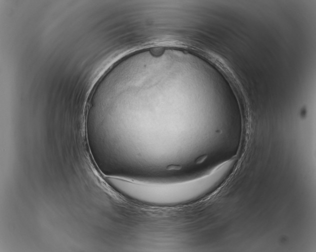 X0000116301236200912141327