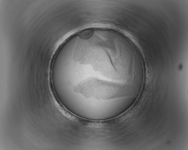 X0000116301237200912141328