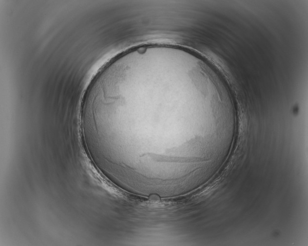 X0000116301240200912141328