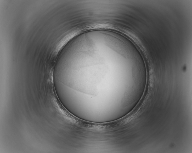 X0000116301241200912141328