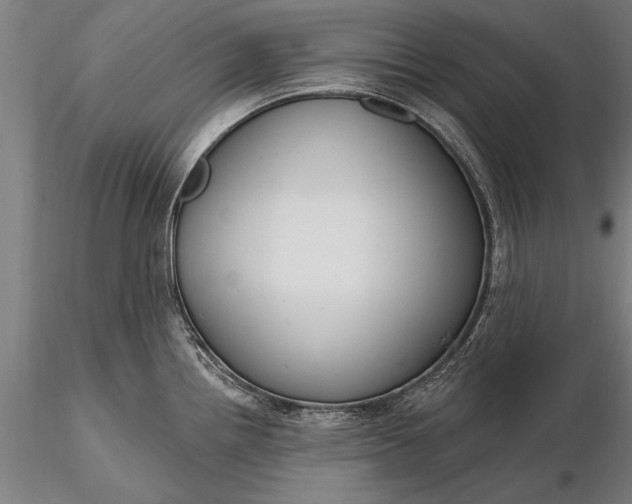 X0000116301242200912141328