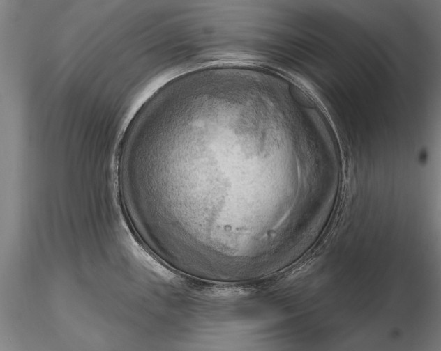 X0000116301243200912141328