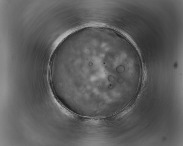 X0000116301245200912141328