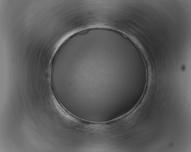 X0000116301246200912141328