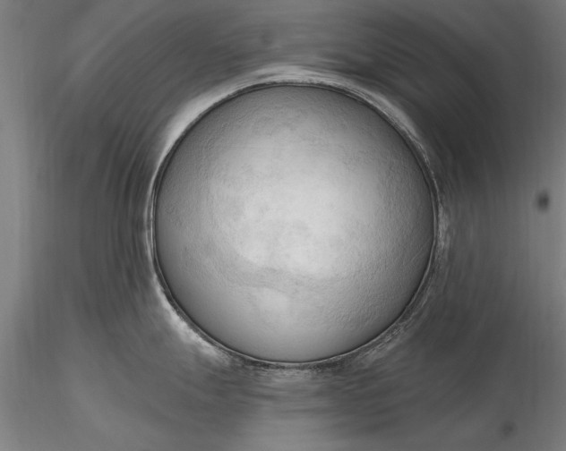 X0000116301247200912141328