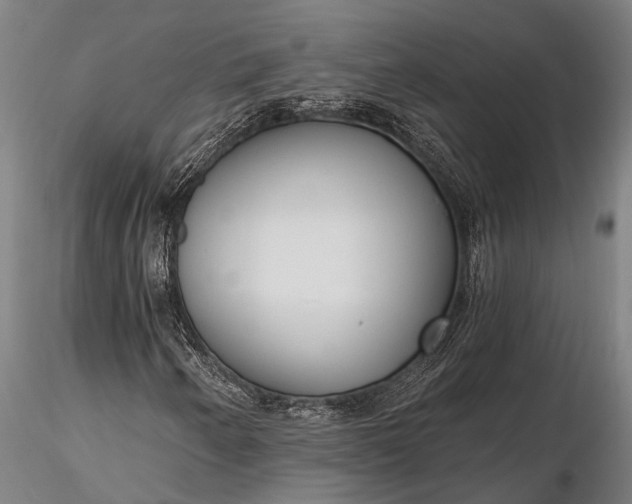 X0000116301250200912141327