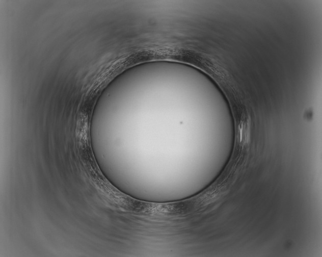 X0000116301251200912141327