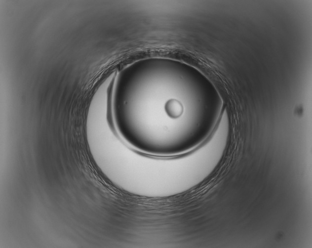 X0000116301252200912141327