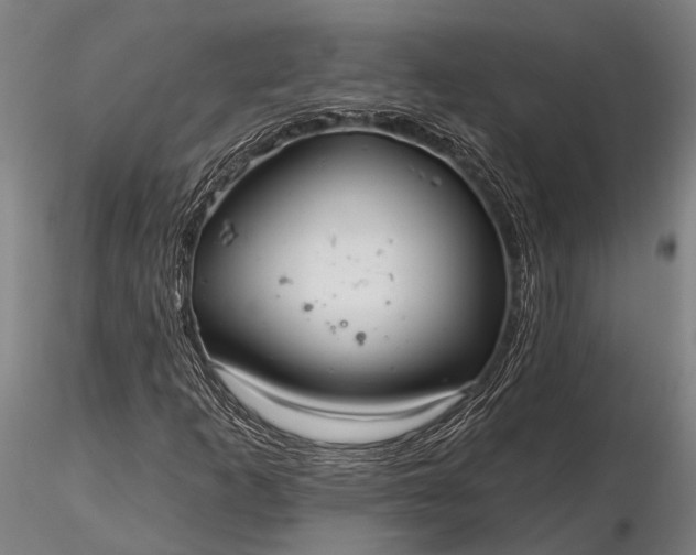 X0000116301253200912141327