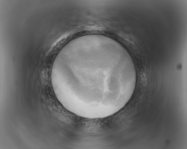 X0000116301254200912141327