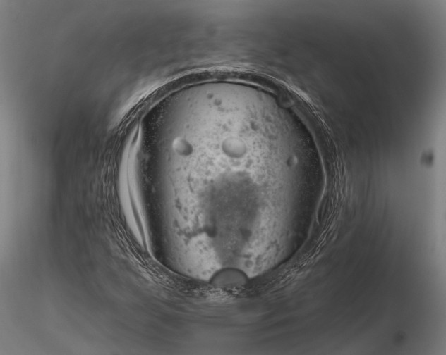 X0000116301255200912141327