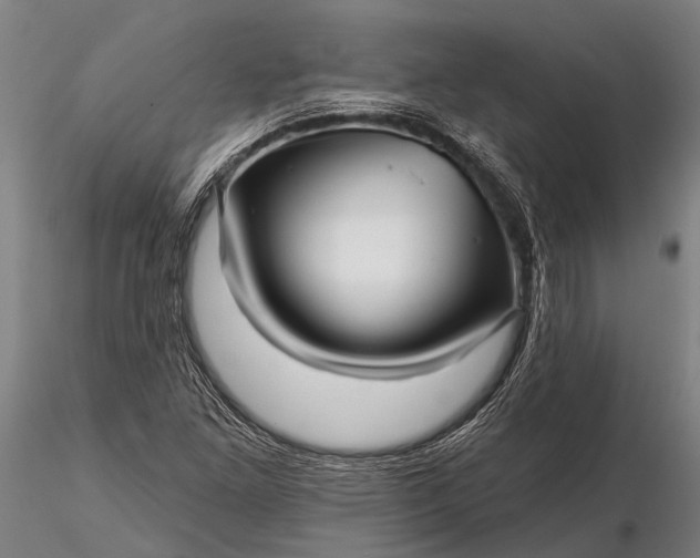 X0000116301261200912141327