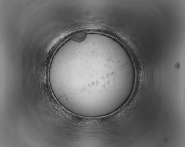 X0000116301262200912141327