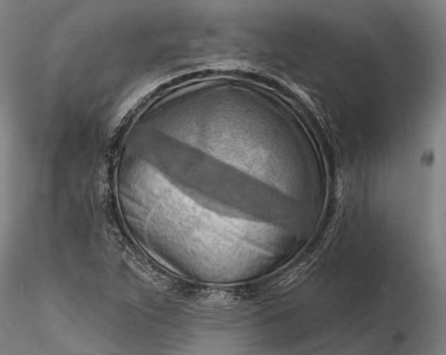 X0000116301263200912141327