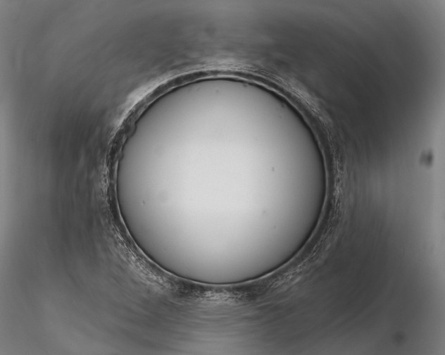 X0000116301264200912141327