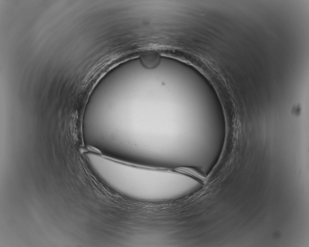 X0000116301265200912141327