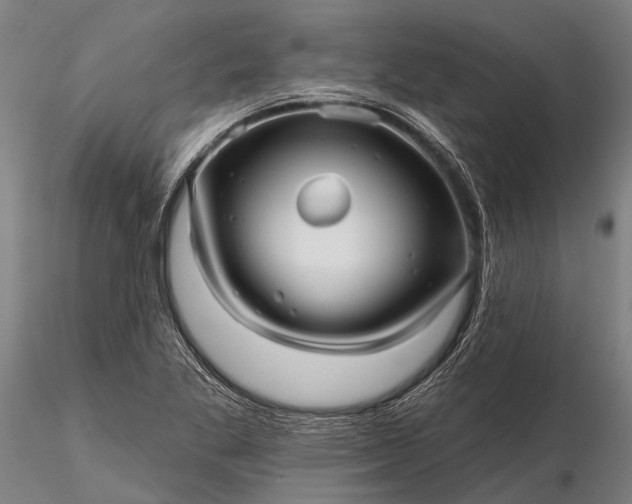 X0000116301269200912141327