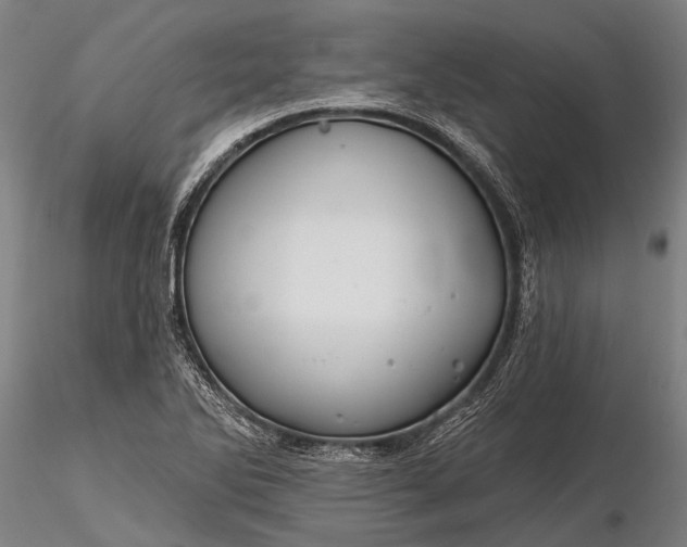 X0000116301270200912141327