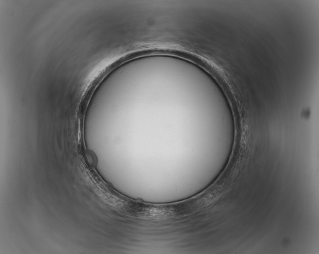 X0000116301271200912141327