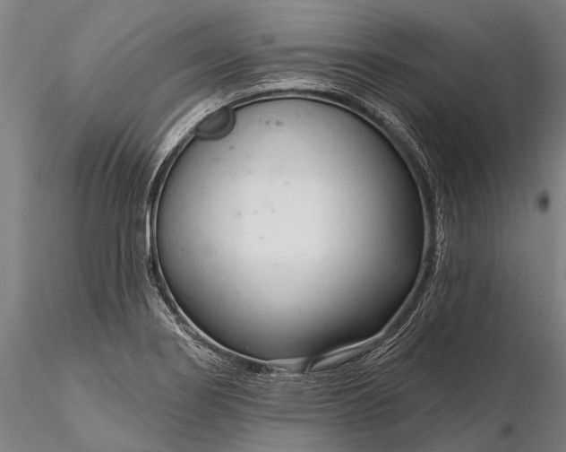 X0000116301274200912141327