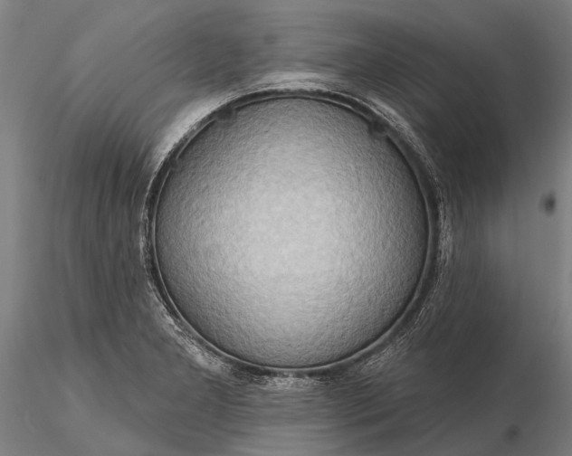 X0000116301277200912141327