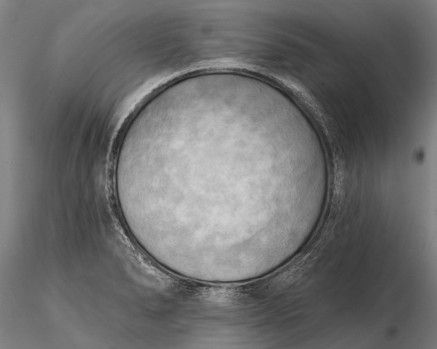 X0000116301278200912141327