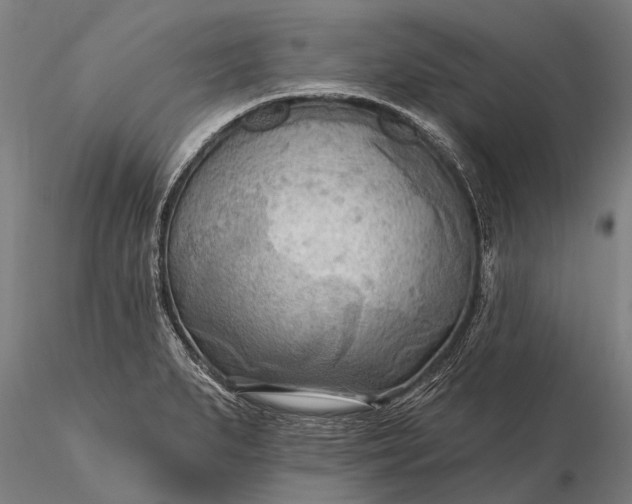 X0000116301279200912141327