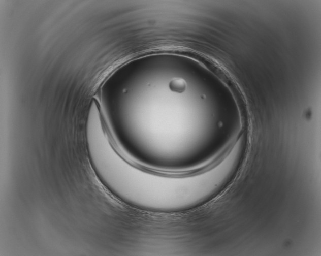 X0000116301281200912141327