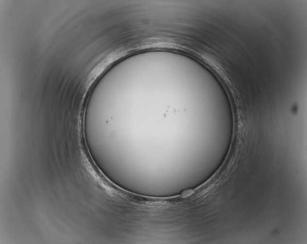 X0000116301282200912141327