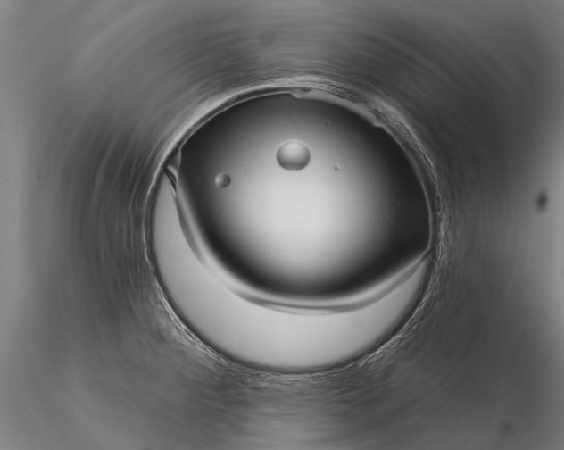 X0000116301284200912141327