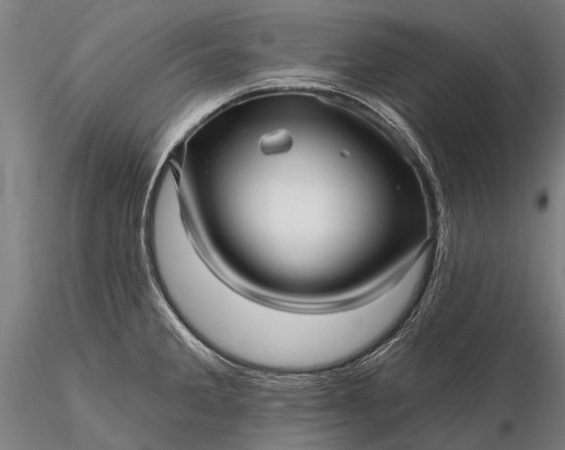 X0000116301285200912141327