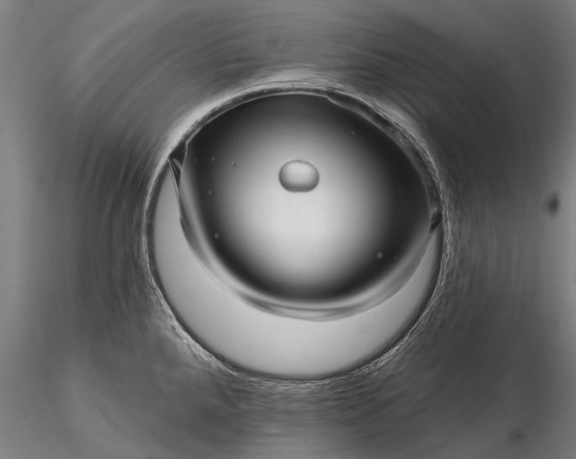 X0000116301288200912141326